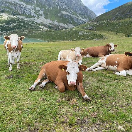 Ferienhof Bichlhof ارزل ام بيتزتال الغرفة الصورة